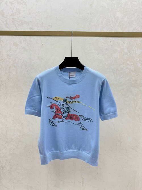 Hermes White & Blue Color-blocked War Horse Embroidery Round Neck Short Sleeve Top