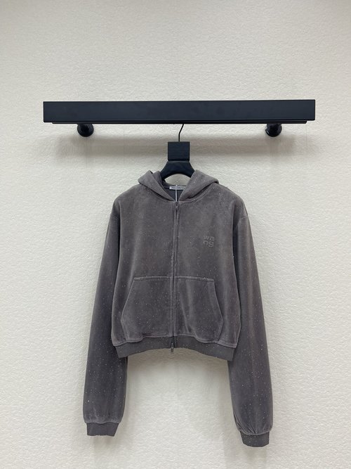 Alexander Wang Early Spring Velvet and Rhinestone Hooded Sweatshirt