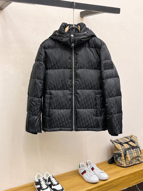 Dior Authentic 90% Down Jacket with Stylish Design