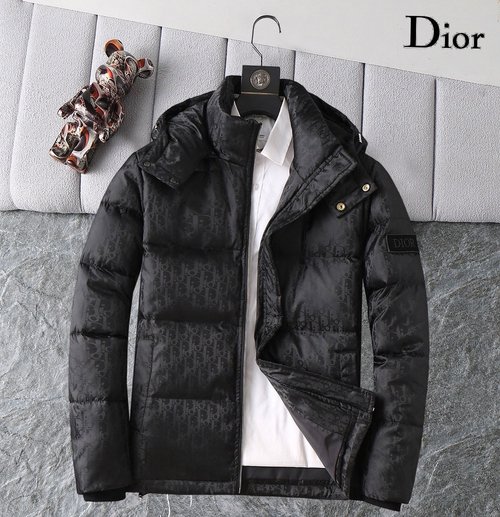 Dior Premium Down Jacket with Logo and Color Blocks