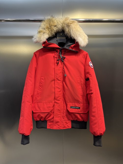 Hermes Short Down Jacket with High-quality Fabric and Wolf Fur Collar