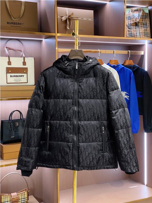 Dior Premium Down Jacket with 90% Down, Logo and Color Block