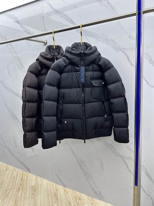 Dior Classic Logo Hooded Down Jacket