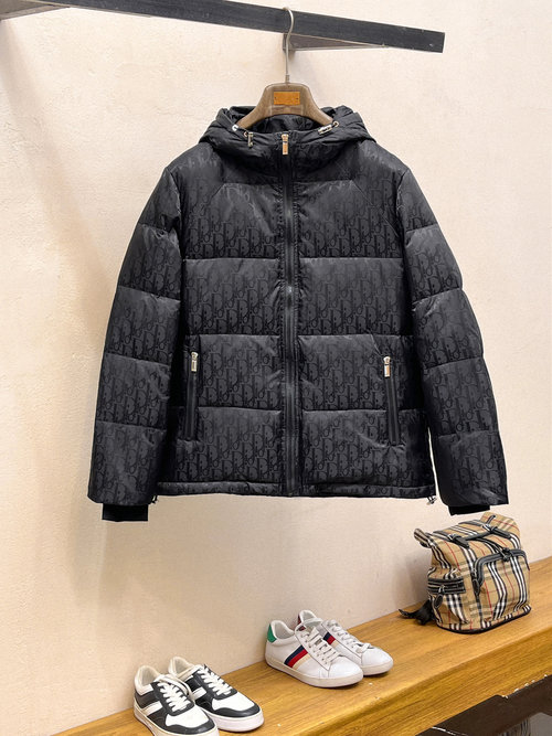 Dior Premium Down Jacket with Logo and Colorful Design
