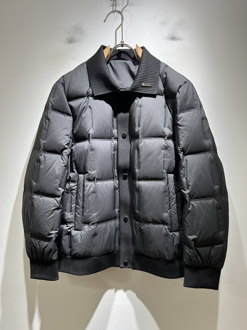 Loro Piana Unisex Down Jacket Featuring Unique Design