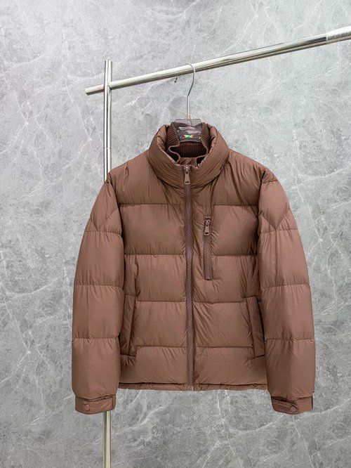 Zegna Lightweight, Comfortable and Stylish Down Jacket