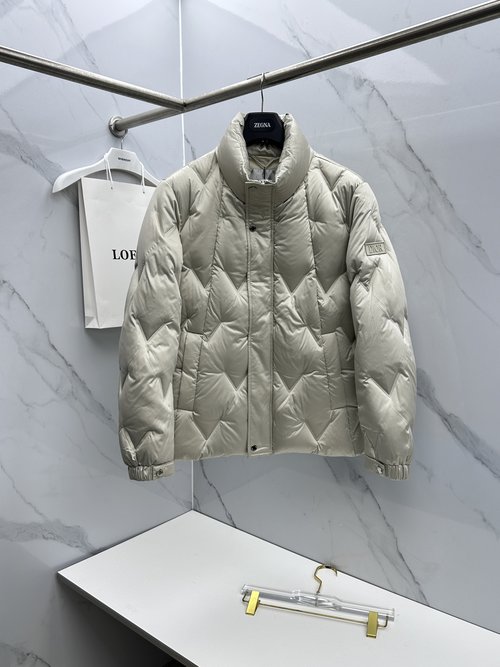 Dior Fashionable Down Jacket with Structural Design