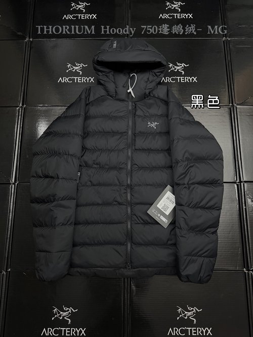 ArcTeryx 750-fill Down Hooded Outdoor Warm Jacket