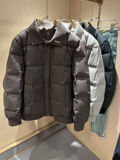 Loro Piana Fashionable Down Outerwear with an Eye-Catching Look