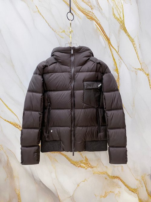 Dior Slim-Fit Down Jacket with Small Logo